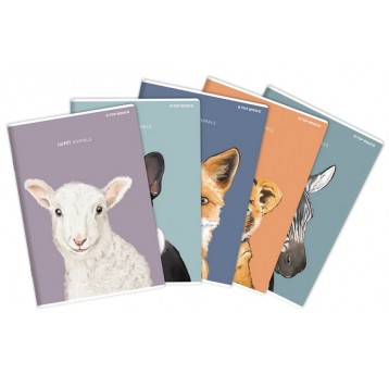 ZESZYT A5 16K GŁADKI TOP2000